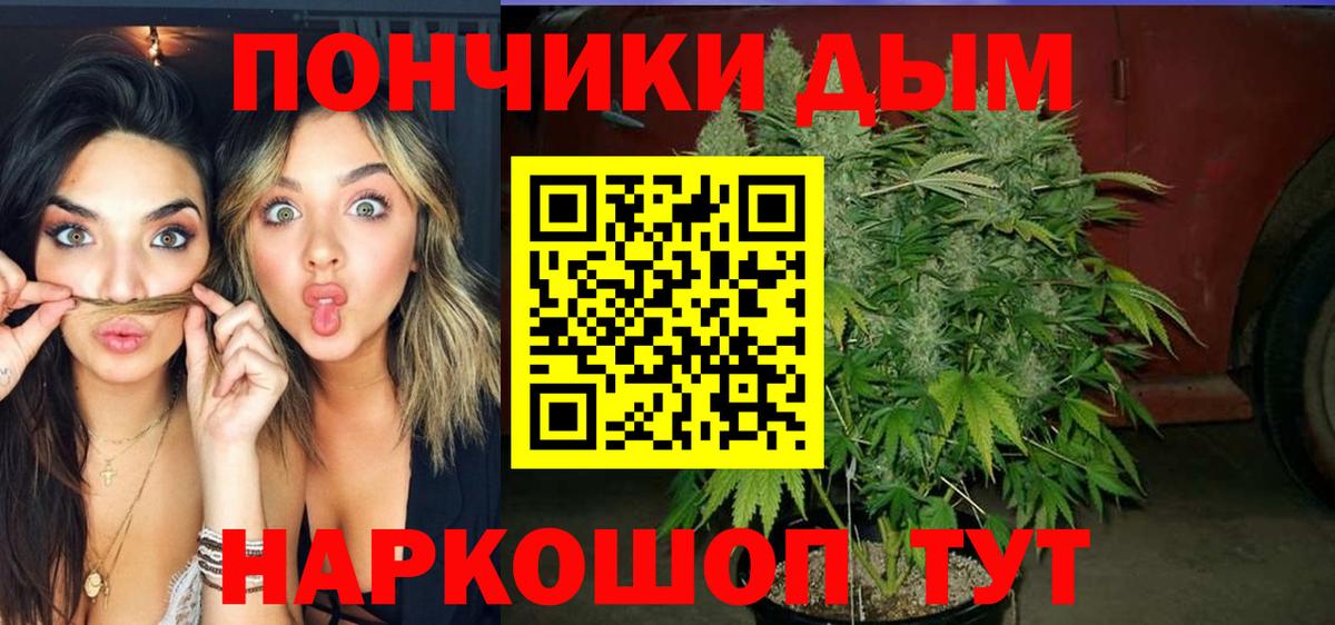 Бошки марихуана SATIVA & INDICA Дагестанские Огни